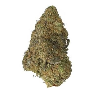 GREEN CRACK – AAA+