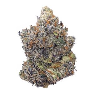 PINK SHERBET – AAAA