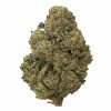 RUNTZ – AAA+ – (SMALL BUDS) $95/OZ