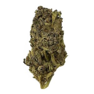 black-dolato-aa