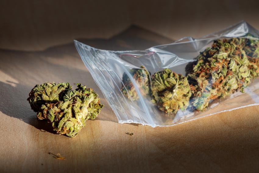 Comprehending medical cannabis entry in the UKa