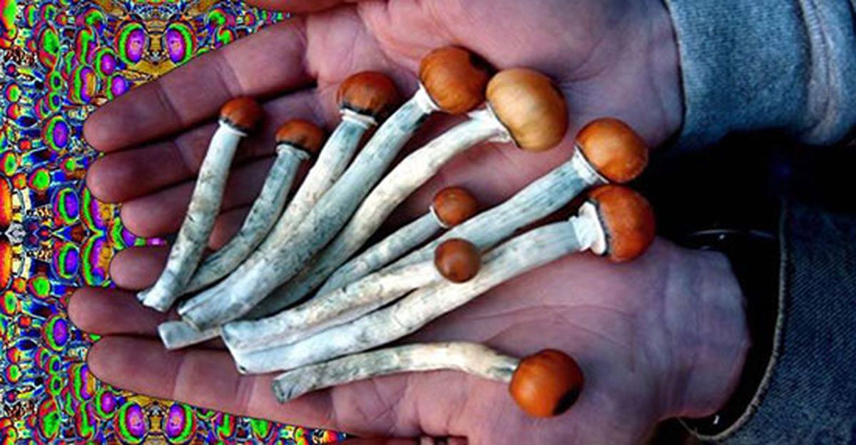 How to dose psychedelic mushrooms