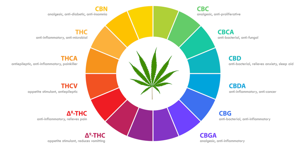 What is a cannabinoid?