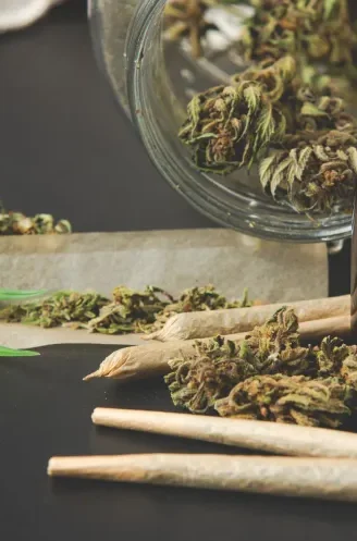 Grasping the Legal Environment for Acquiring Cannabis Online in Toronto. Herrble