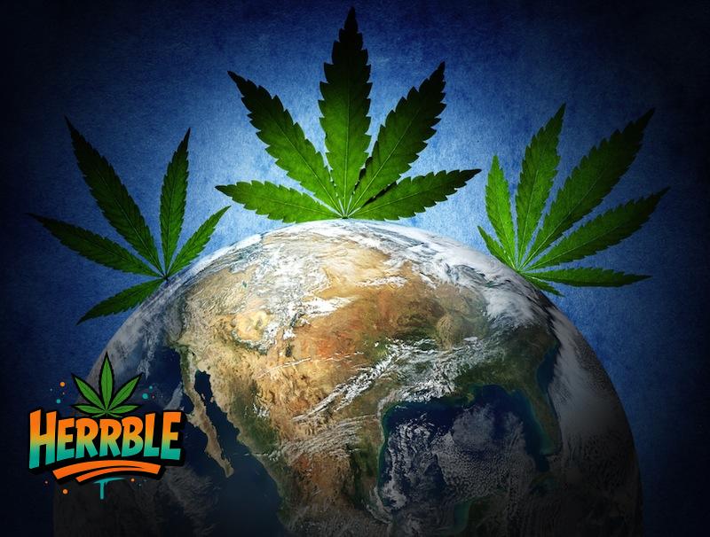 The History of Cannabis: A Global Story