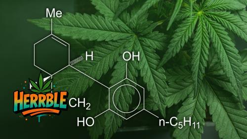 The Science Behind THC: How It Affects Your Brain and Body