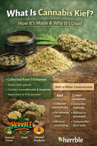 What Is Cannabis Kief